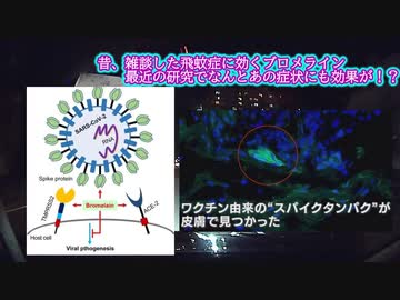 スパイクもグラフェンもぶっ壊す？ワク後遺症の解毒にあの身近な果物が！