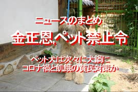 2020/08-金正恩,ペット禁止令、ペット犬は次々に犬鍋に