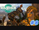 【実況】果てなき冒険は、大空へ広がる【ゼルダの伝説 ティアーズオブザキングダム】＃8