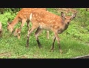 ぶらり散歩　#173　2023/8/29