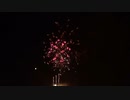 2023.8.26（秋田）大曲の花火　「想い出の花」