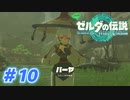 【実況】果てなき冒険は、大空へ広がる【ゼルダの伝説 ティアーズオブザキングダム】＃10