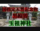 防府市　玉祖神社！