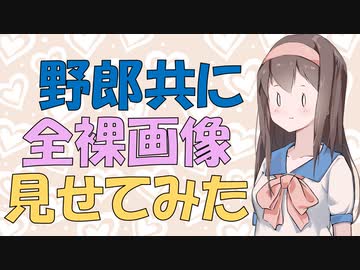 【変態心理】男性にとっておっぱいより重要なものが発見された心理実験の話【VOICEROID解説】