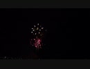 2023.8.26（秋田）大曲の花火　「夜空を翔けめぐる星達」