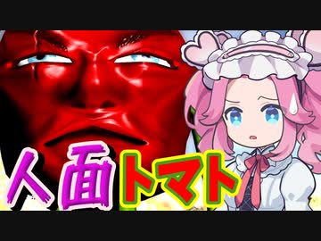 《めたん ずんだ実況》サラダの国のトマトおやじ【Tomato way】