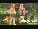 【実況】ゼルダの伝説 ブレス オブ ザ ワイルド【カカリコ村に大厄災（リンク）がやってくる】part３