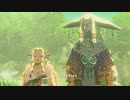 【実況】ハイラルソードTK　その30