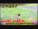 なつもん！　昆虫の場所　花の草原（朝）　ヒメシジミ・スジボソヤマキチョウ　昆虫集めてステッカーを貰おう！　＃７６８　【なつもん！20世紀の夏休み】