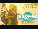 【実況】大空を翔る。ゼルダの伝説ティアーズオブザキングダム 実況プレイ！Part100【ゼルダの伝説TotK】