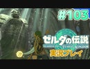 【実況】大空を翔る。ゼルダの伝説ティアーズオブザキングダム 実況プレイ！Part103【ゼルダの伝説TotK】
