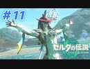 【実況】果てなき冒険は、大空へ広がる【ゼルダの伝説 ティアーズオブザキングダム】＃11