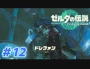 【実況】果てなき冒険は、大空へ広がる【ゼルダの伝説 ティアーズオブザキングダム】＃12