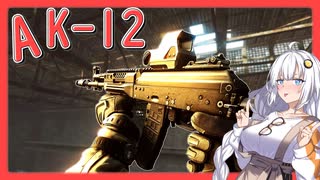 【EFT】# 151　ポンコツだけどポンコツじゃないよっ！AK-12！【タルコフ/紲星あかり】