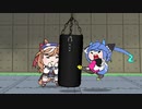 たぬき-ターボの特訓