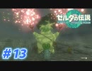 【実況】果てなき冒険は、大空へ広がる【ゼルダの伝説 ティアーズオブザキングダム】＃13