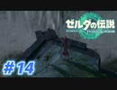 【実況】果てなき冒険は、大空へ広がる【ゼルダの伝説 ティアーズオブザキングダム】＃14