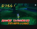 なつもん！　昆虫の場所　てんぐの山神社（夜）　アゲハモドキ・ハンミョウ　昆虫集めてステッカーを貰おう！　＃７８０　【なつもん！20世紀の夏休み】