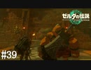【ゼルダの伝説 Tears of the Kingdom】勝手に行くんじゃないよ！【実況】#39