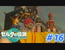 【実況】果てなき冒険は、大空へ広がる【ゼルダの伝説 ティアーズオブザキングダム】＃16