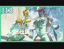 #113【ゼルダの伝説ティアーズオブザキングダム】ちょっと世界を翔けてくる【実況プレイ】