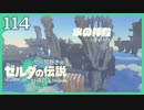 #114【ゼルダの伝説ティアーズオブザキングダム】ちょっと世界を翔けてくる【実況プレイ】