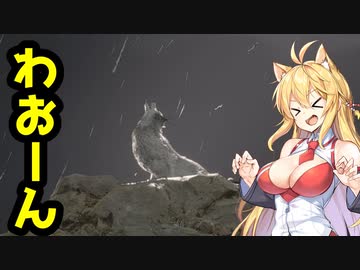 【BIOHAZARD:RE4】マキと触手とガナードと…【VOICEROID実況プレイ】#10