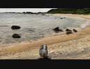 2023.02.04 07:05am 久米島 - トクジム自然公園
