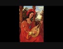 バッハ：無伴奏ヴァイオリンソナタとパルティータ BWV1001～1006（バロック・リュート版）