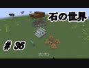 石の世界#36　Minecraft【ミリアム実況】STONEBLOCK