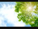 こんにちは♪【昼温和】No140≪悪霊がいる？いない？の話≫