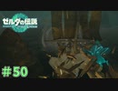 脆過ぎるイカダで大惨事　「ゼルダの伝説～ティアーズ・オブ・ザ・キングダム」　＃50