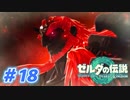 【実況】果てなき冒険は、大空へ広がる【ゼルダの伝説 ティアーズオブザキングダム】＃18