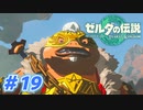 【実況】果てなき冒険は、大空へ広がる【ゼルダの伝説 ティアーズオブザキングダム】＃19