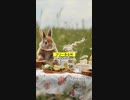 Little Kitchen ／ mame pota【 作業用・勉強用BGM／映像・動画／配信 】#フリーBGM #Shorts