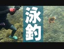 【第九回ひじき祭】シュノーケリングしながら釣りをしたら、カサゴが沢山釣れました。| 泳ぎ釣り
