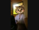 FIELD OF VIEW「夢見続けて今も」