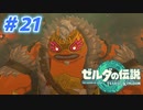 【実況】果てなき冒険は、大空へ広がる【ゼルダの伝説 ティアーズオブザキングダム】＃21