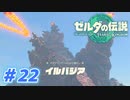 【実況】果てなき冒険は、大空へ広がる【ゼルダの伝説 ティアーズオブザキングダム】＃22