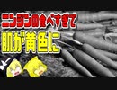 【ゆっくり解説】ニンジンの食べ過ぎで体が黄色になる！？について解説