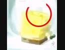 suck my bouncy dick