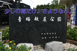 少しの間だけ、さようなら、青梅鉄道公園。