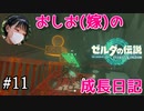 【嫁とゼルダ】アクション苦手なおしおのゼルダの伝説成長日記#11【ゼルダの伝説totk】