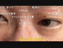 【コメント有】ニンポー 2023年08月31日16時40分 もうだめだ【ニコ生録画】