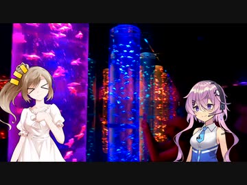 【チボラジッ！　リターンズ！】銀座に金魚が舞っている！？