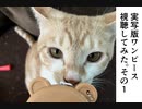 【ネタバレ注意】実写版ワンピース第一話を見たよ！