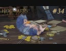 【実況】イギリスで生類憐みの令を発令させる魔女【ホグワーツ・レガシー】#34