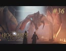 【実況】イギリスで生類憐みの令を発令させる魔女【ホグワーツ・レガシー】#36