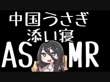 ASMRを１ミリも知らない中国うさぎの添い寝ASMR