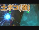 敵から奪った力気持ちいいい！【ゼルダの伝説 ティアーズ オブ ザ キングダム】#102